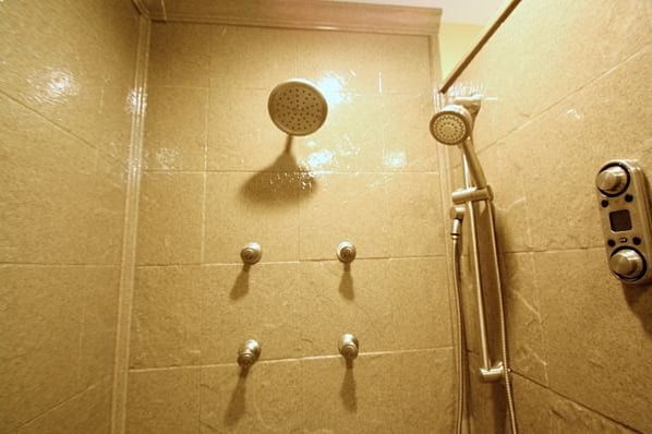 Moen ioDigital remote control smart shower