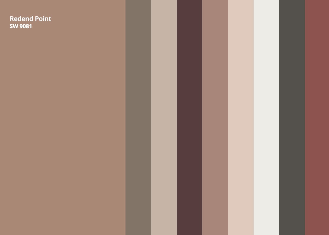 brown color palette